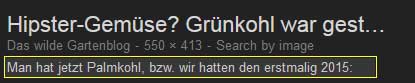 Google Bildersuche Snippet